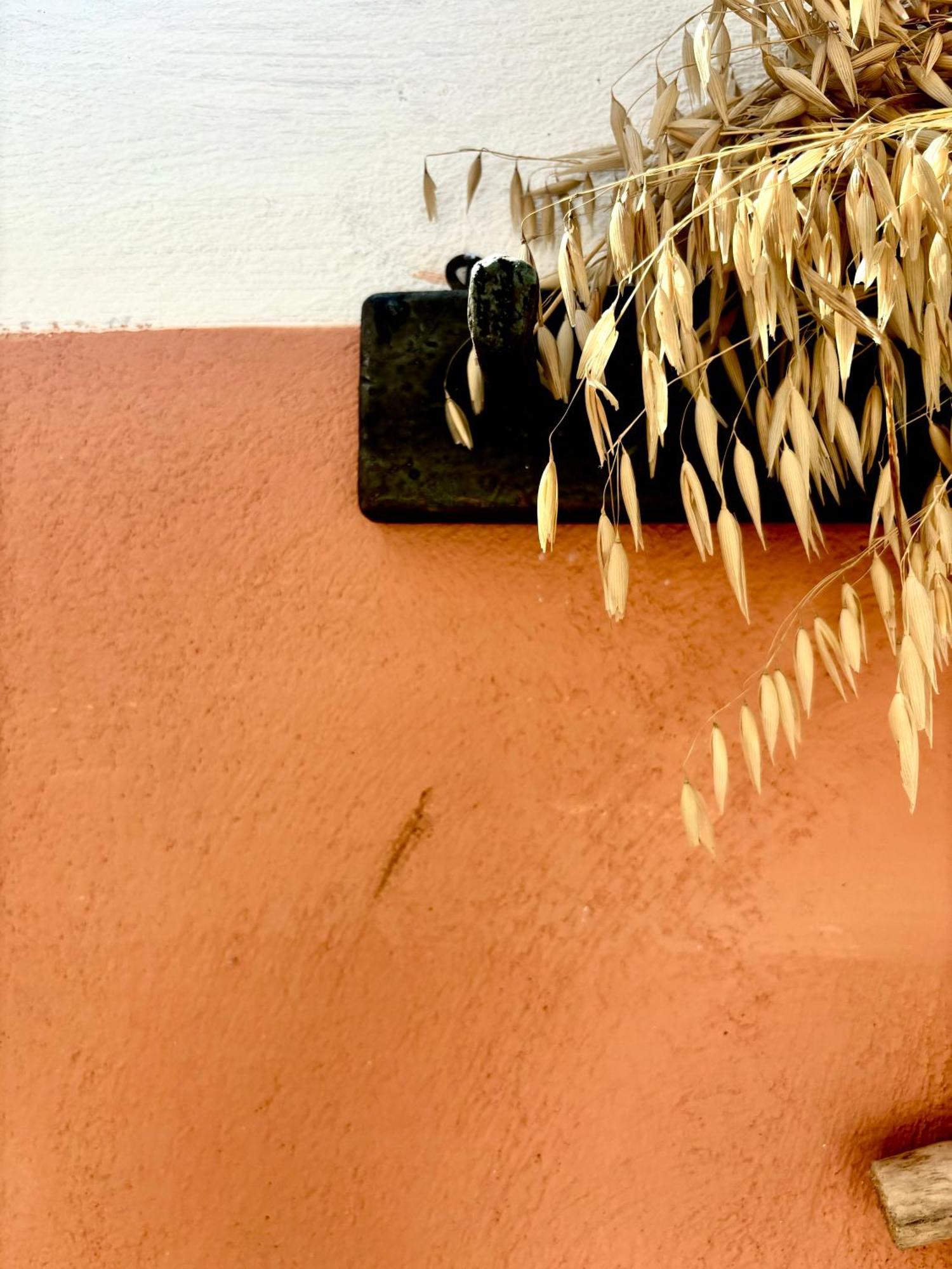 Traditional Corfiot House Περιβόλι Εξωτερικό φωτογραφία