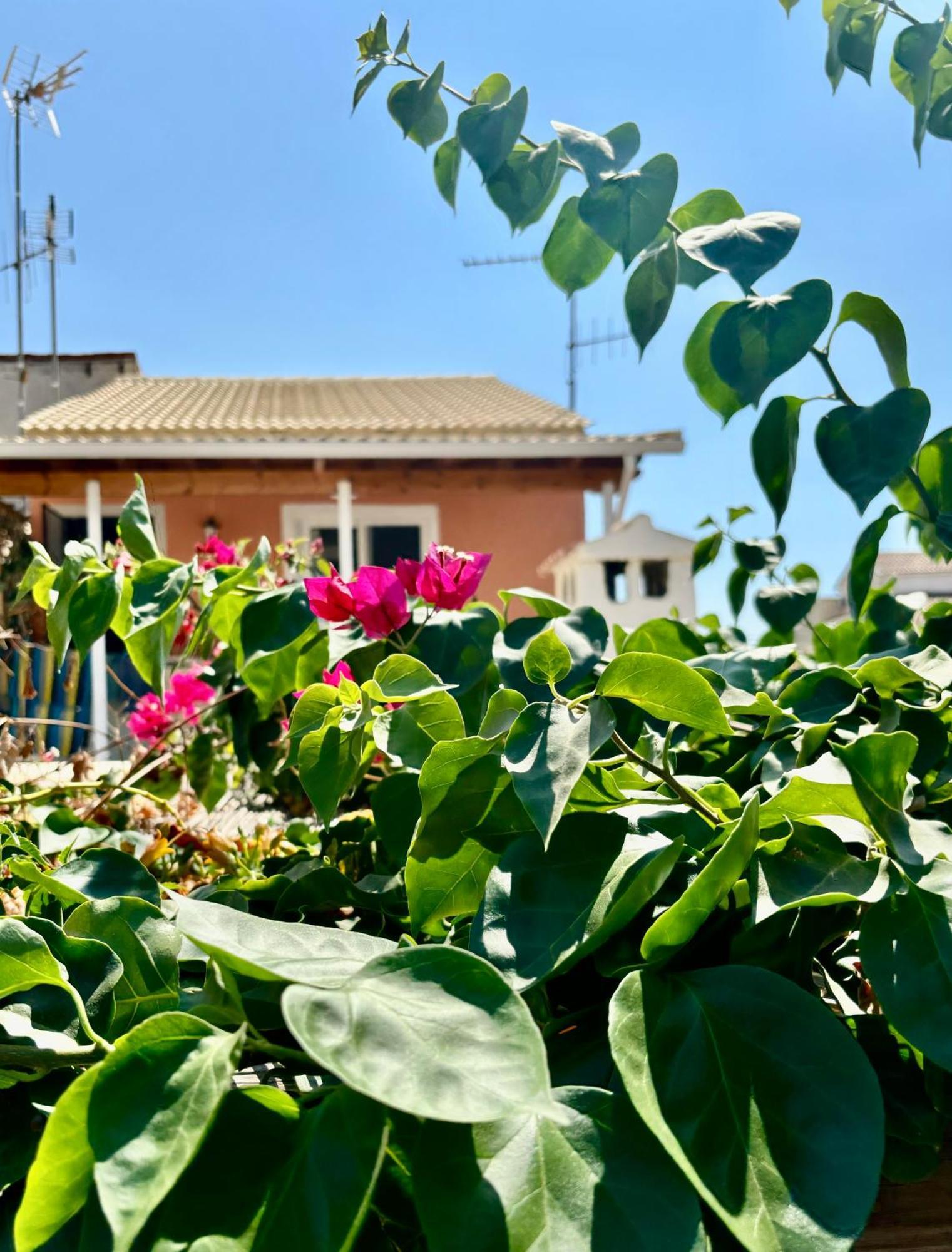 Traditional Corfiot House Περιβόλι Εξωτερικό φωτογραφία